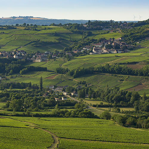 © BIVB / Aurélien Ibanez