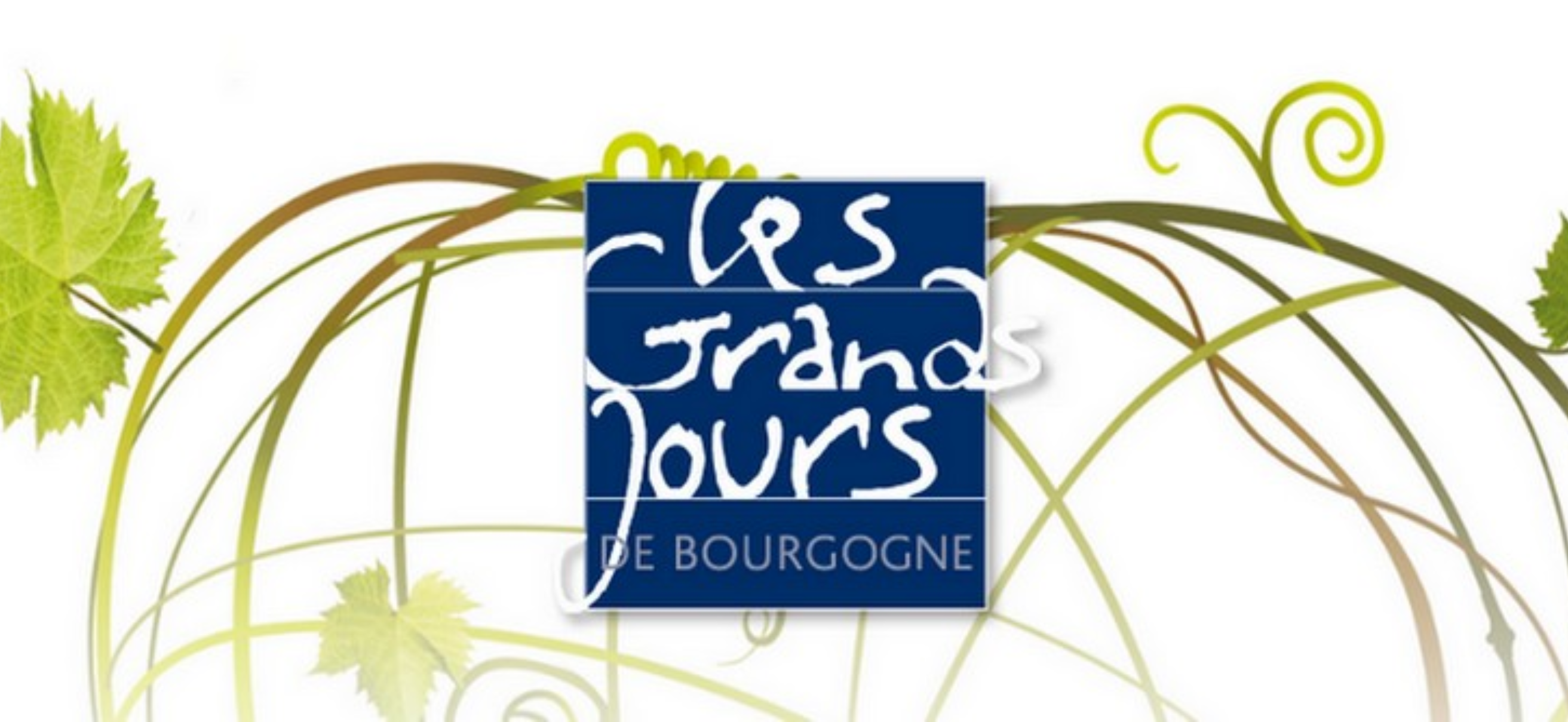 © All rights reserved