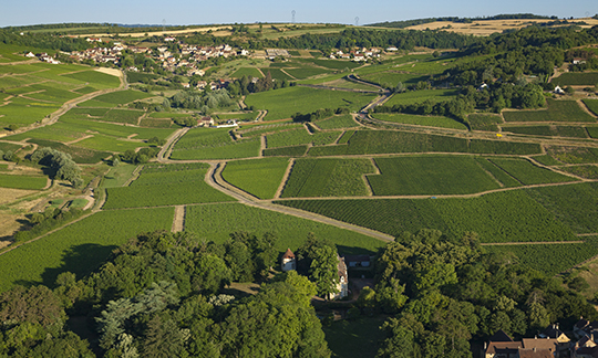 © BIVB / Aurélien Ibanez - View of the Montagny appellation