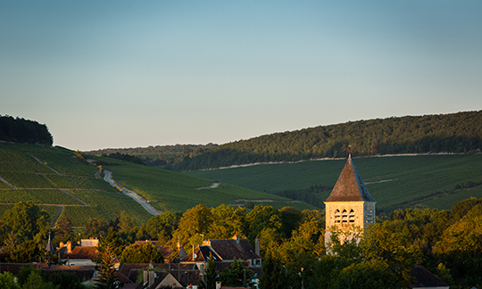 © BIVB / Aurélien Ibanez