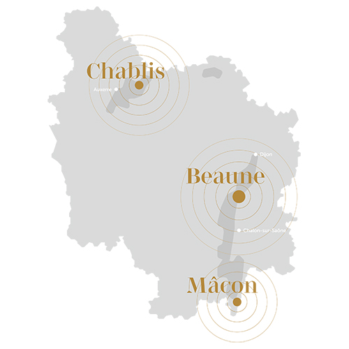 © Cité des Climats et vins de Bourgogne