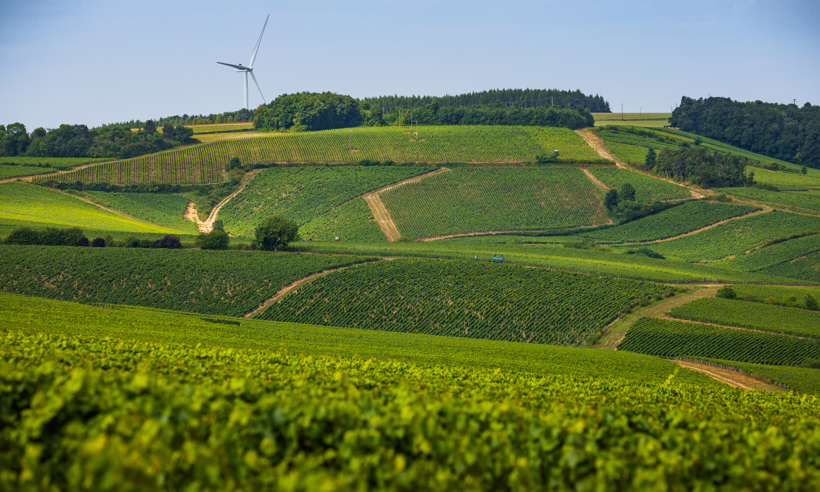 © BIVB / Aurélien IBANEZ