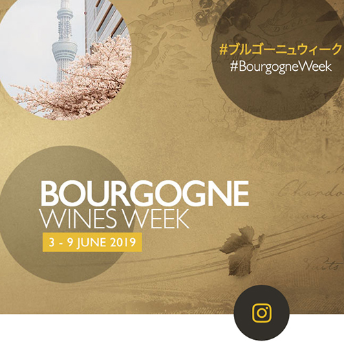 © BIVB / All rights reserved – Homepage of the Bourgogne Week website