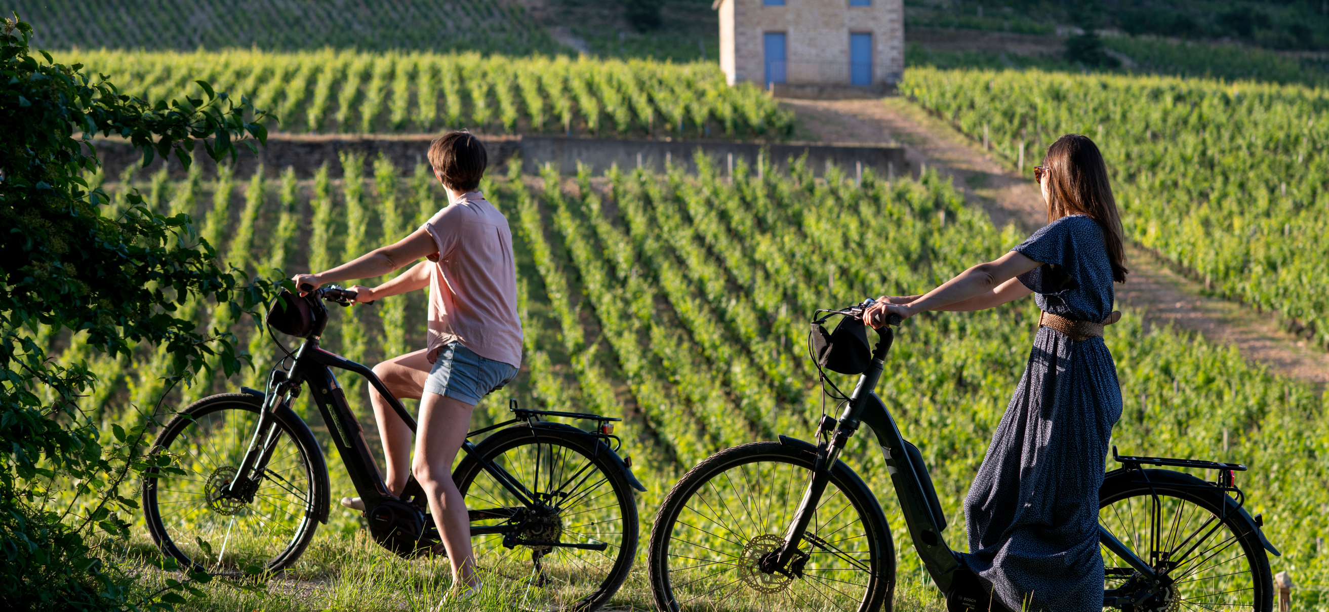 © BIVB / Michel JOLY