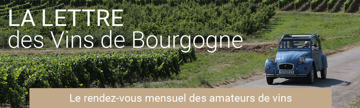 La lettre des Vins de Bourgogne