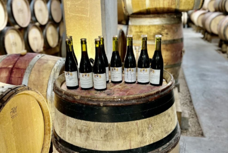 bottles of bourgogne wine on a barrel