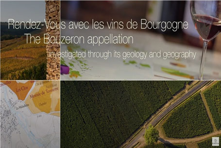 The Bouzeron appellation investigated through its geology and geography