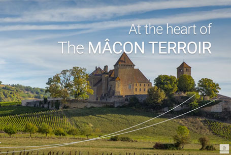 the heart of the mâcon terroir