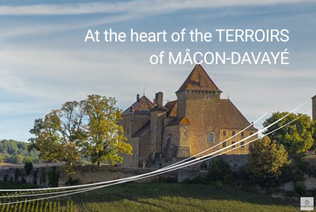 heart of the terroirs of Mâcon Davayé