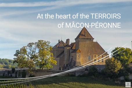 heart of the terroirs of Mâcon Peronne