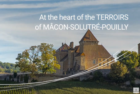heart of the terroirs of Mâcon Solutré Pouilly