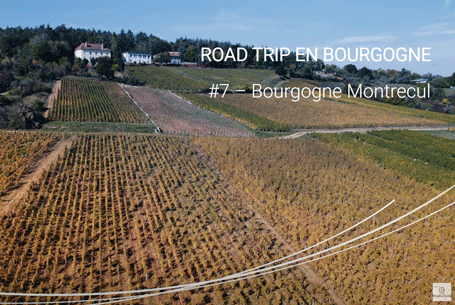 Road trip en Bourgogne Montrecul