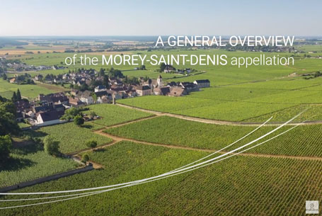 An overview of Morey-Saint-Denis appellation