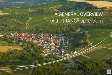 An overview of Irancy appellation