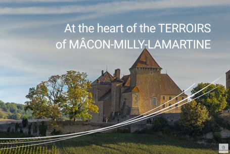 heart of the terroirs of Mâcon Milly Lamaratine