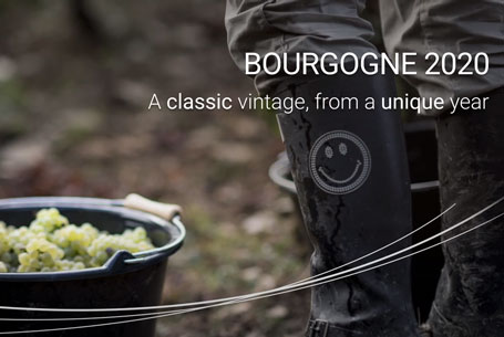 The 2020 vintage in Bourgogne