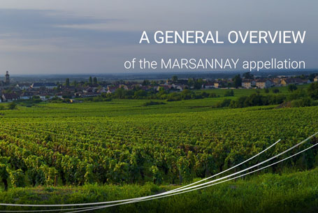 Marsannay appellation