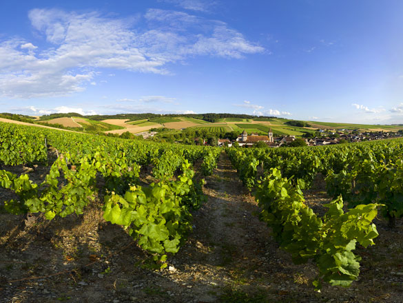 Bourgogne Chitry