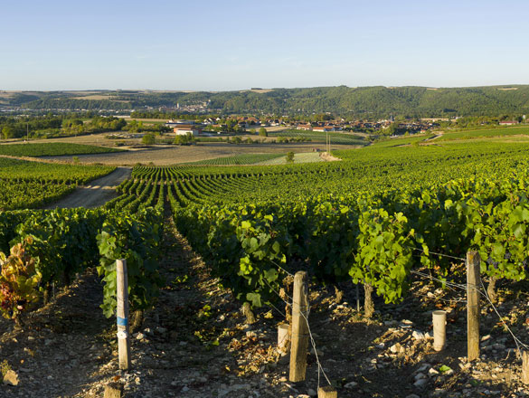 Bourgogne Épineuil