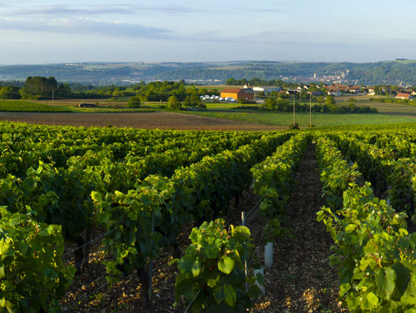 Bourgogne Tonnerre