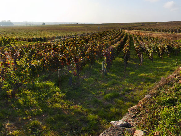 Charmes-Chambertin