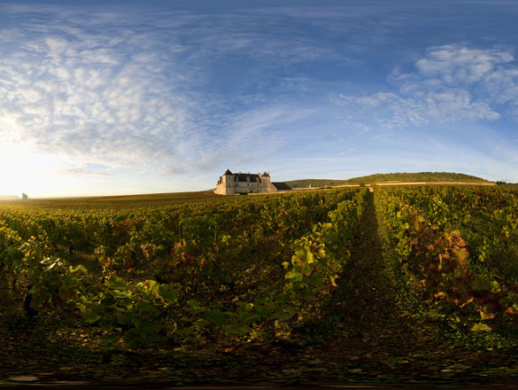 Clos de Vougeot