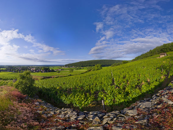 Gevrey-Chambertin Gevrey-Chambertin