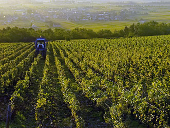 Puligny-Montrachet Puligny-Montrachet
