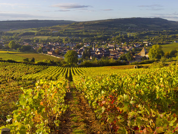 Santenay