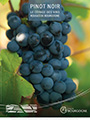 Poster - Pinot Noir