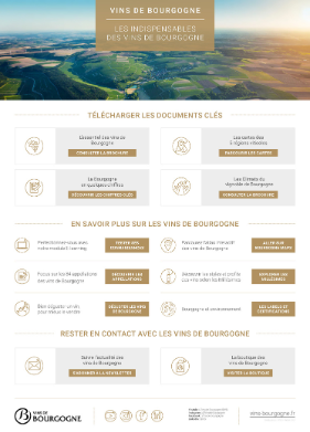Les indispensables des Vins de Bourgogne